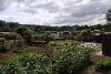 Gateshead allotment